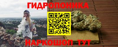 прущие крисы Будённовск