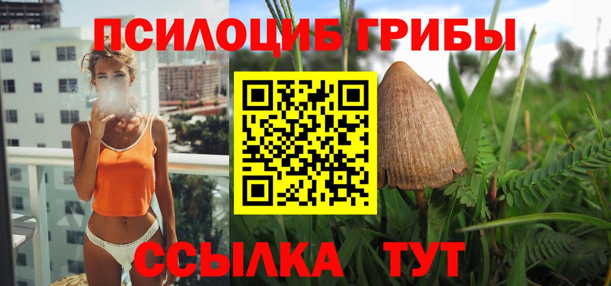 Галлюциногенные грибы мицелий Морозовск