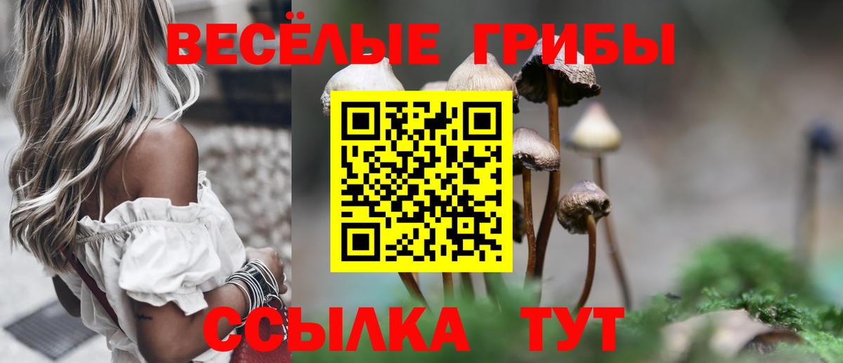 Морозовск  Галлюциногенные грибы Psilocybine cubensis  Вход с VPN 